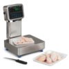Avery Weigh Tronix, ZQ375, Báscula Totalmente Inoxidable, IP69K, Grado Alimenticio - Imagen 4